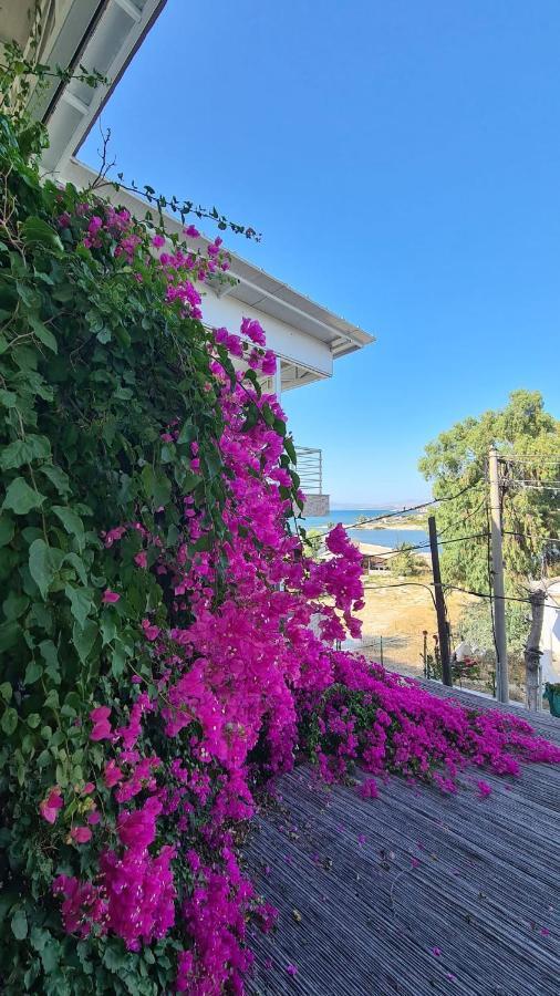 Begonvil Otel Cesme Exterior foto